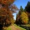 Der heurige Herbst wird bunt