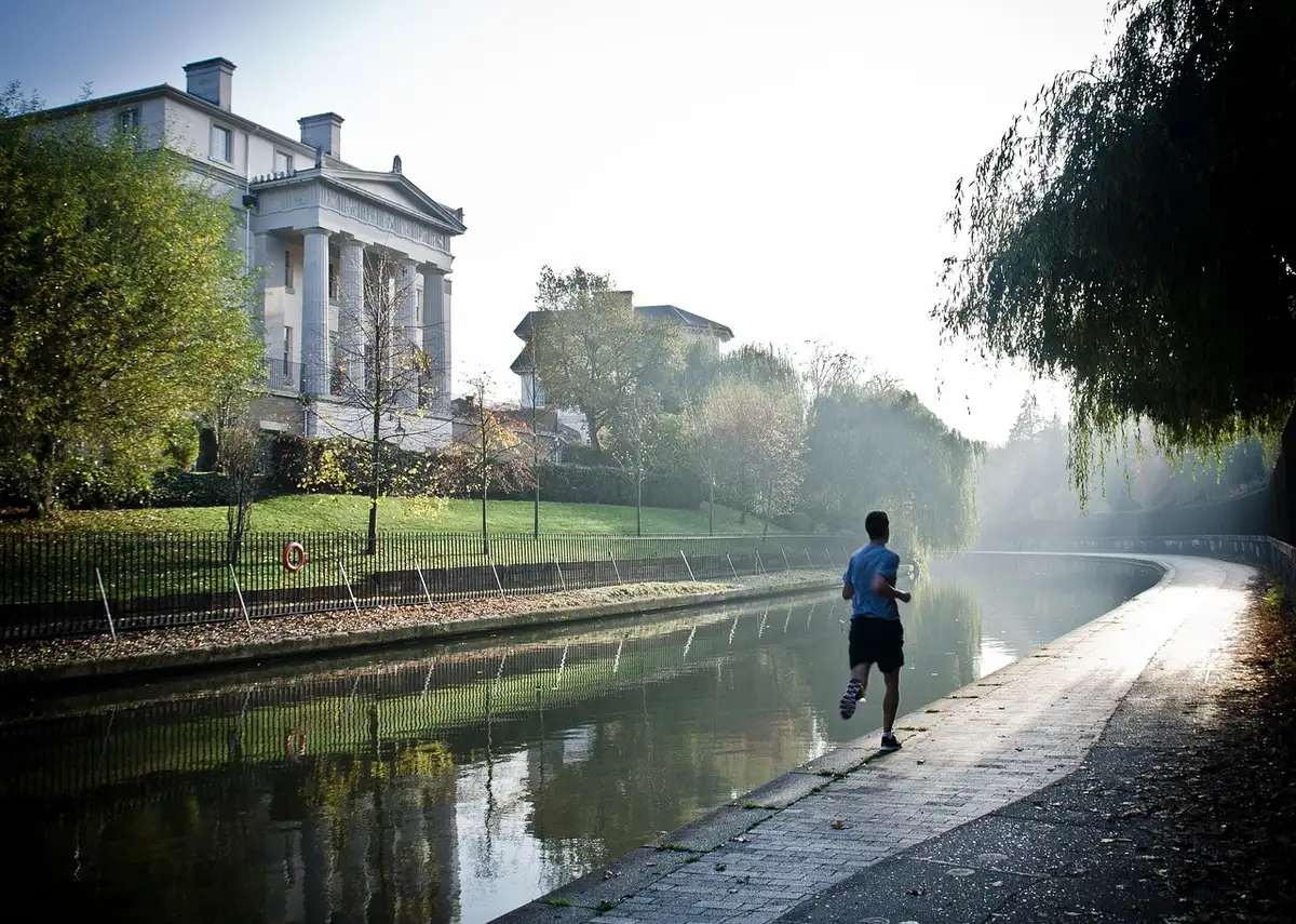 Silhouetten van hardlopers in een park bij zonsopgang, groep in beweging
