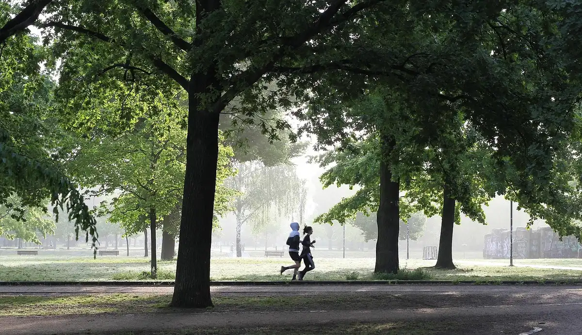 Lichte herstelloop in park met ontspannen houding